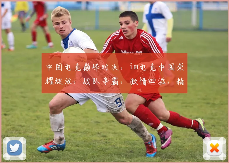 中国电竞巅峰对决，im电竞中国荣耀绽放，战队争霸，激情四溢，精彩不断，三冠王诞生