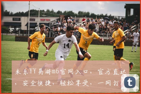 米乐YY易游m6官网入口，官方直达，安全快捷，轻松享受，一网打尽