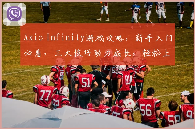 Axie Infinity游戏攻略，新手入门必看，三大技巧助力成长，轻松上手